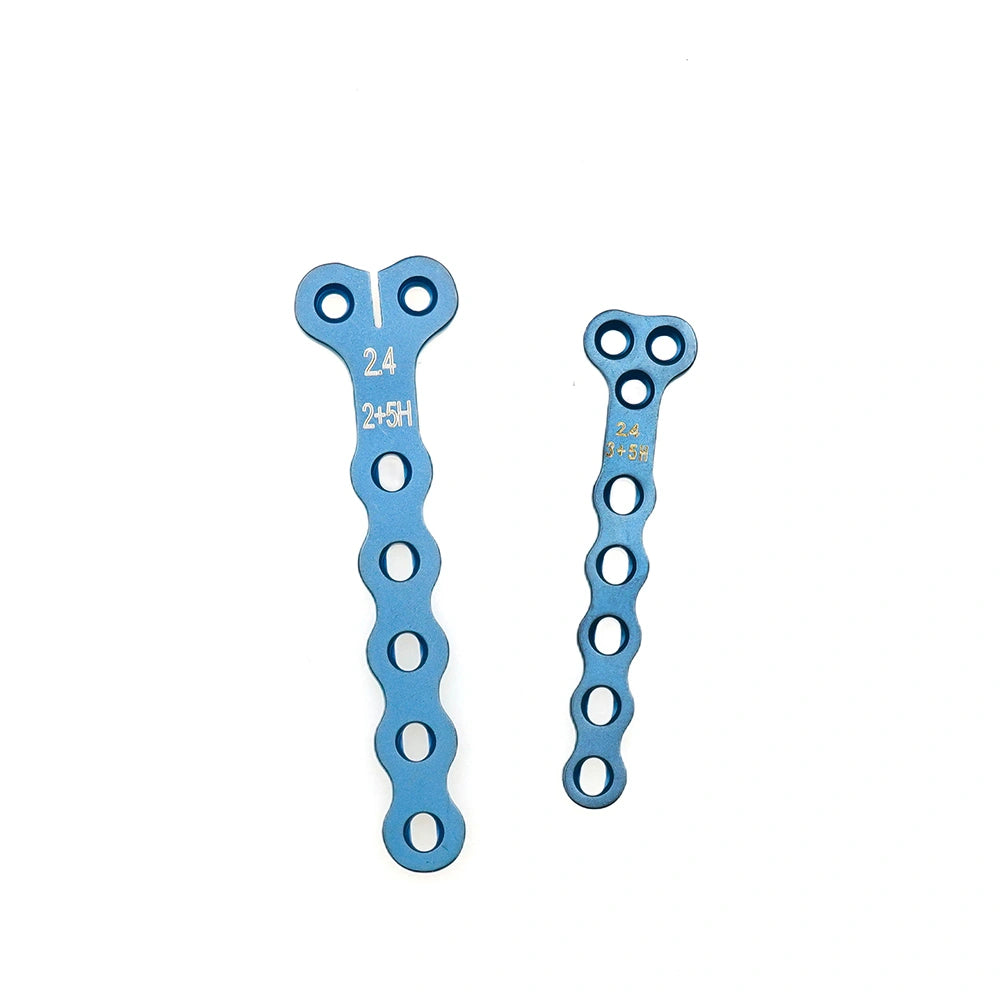 Veterinary 2.4mm T-Type Locking Plate with Threaded Holes for Small Animal Orthopedic Surgery