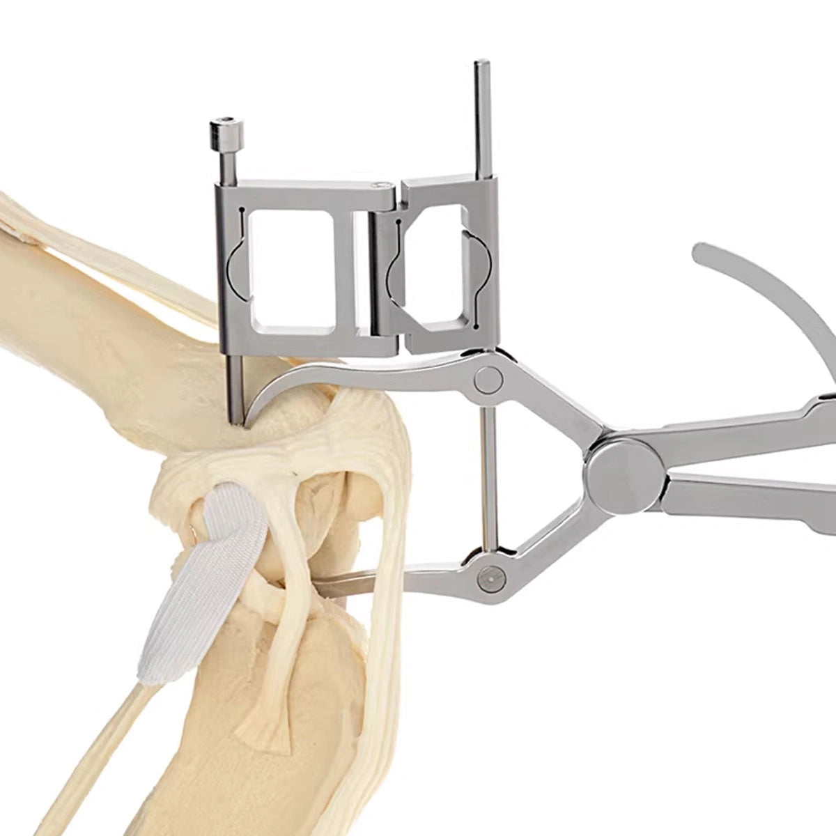 Veterinary Clinic Aiming Reduction Forceps for Precise Fracture Alignment