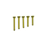 Veterinary Orthopedic 3.5mm Titanium Cortical Screw Optimized for Large Breed Canine Fracture Repair and TPLO Adjunct Fixation
