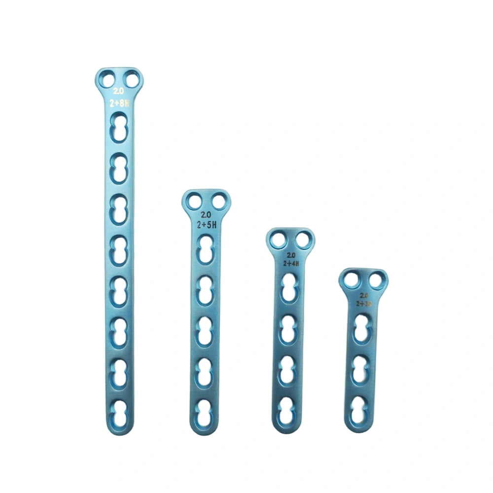 Veterinary Titanium 2.0mm T-Shaped Locking Compression Plate with 2 Holes in Head