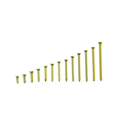 1.1mm Titanium Cortical Self-Tapping Screws for in Very Small Animals Bone Healing Plate - xcvet.com