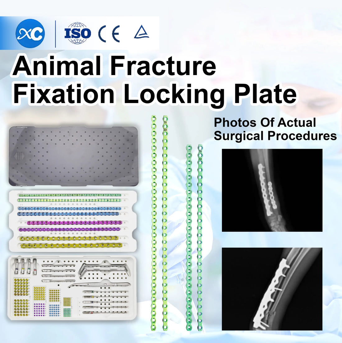 xcvet.com