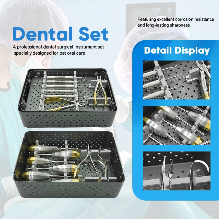 Vet Small Animal Basic Dental Surgical Instruments Set German Stainless