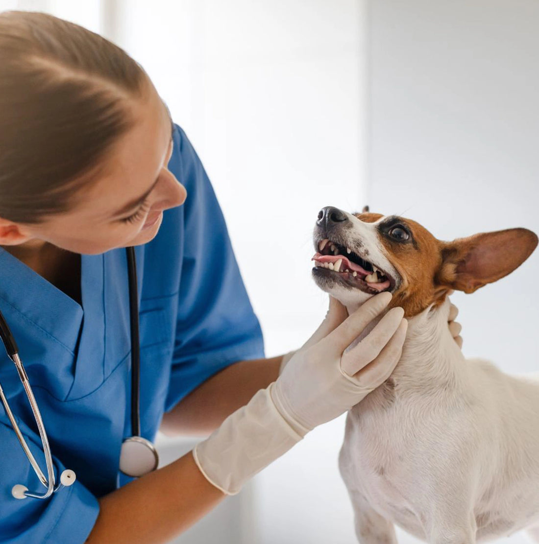 <strong>Built for Repeated Use</strong>