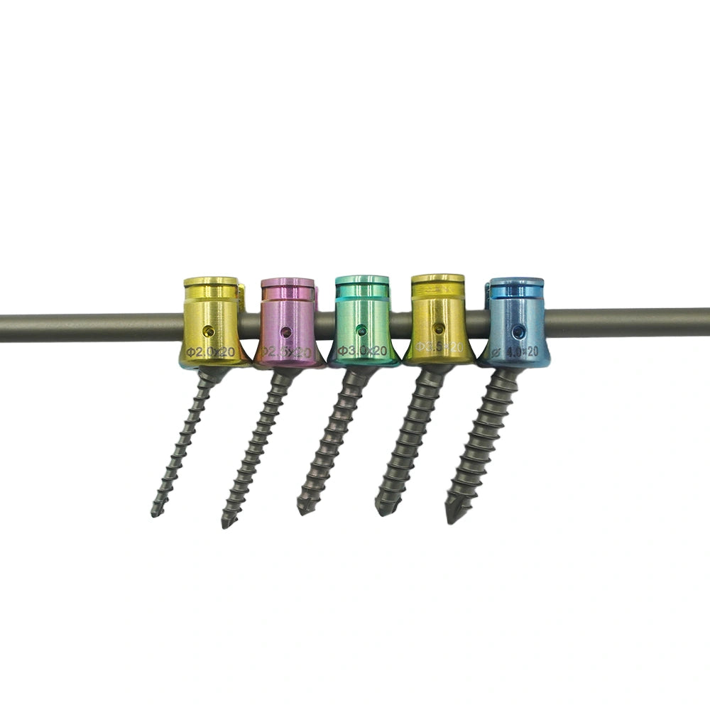 Titanium 2.5 mm Veterinary Spinal Fixation Screws for Back & Spine Surgery